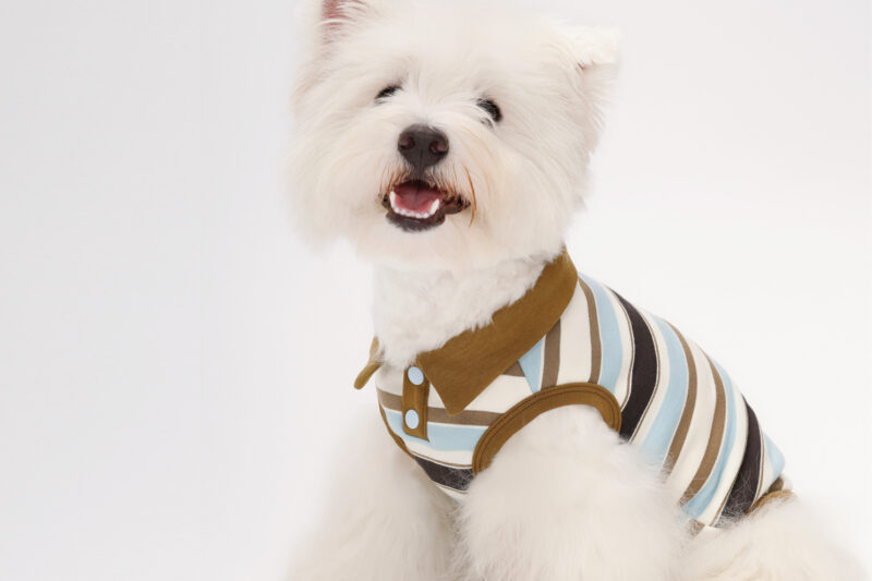 POLO1 SEAYO Casual Pet Tank-A