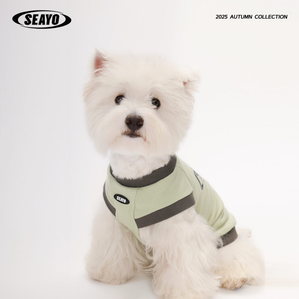 三色卫衣1 SEAYO Green Block Hoodie