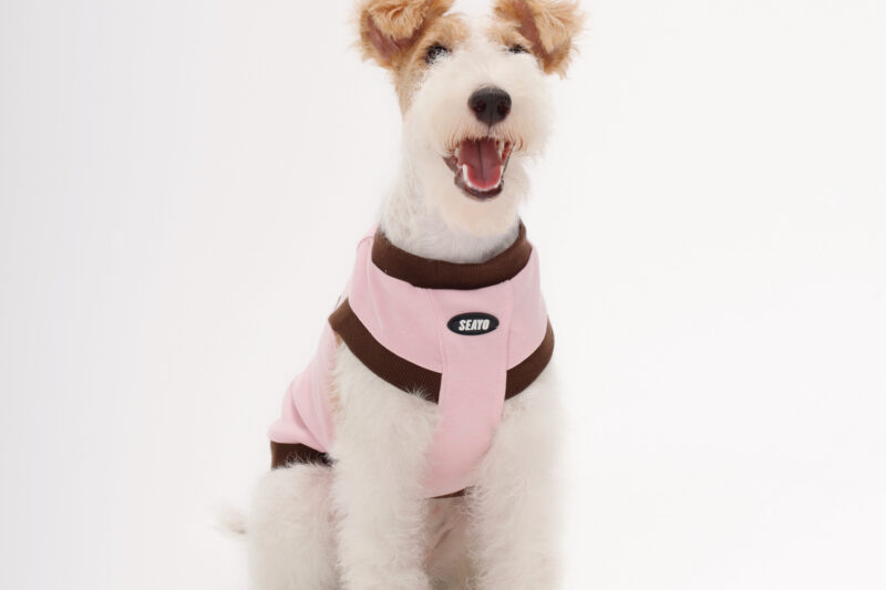 三色卫衣3 SEAYO Pink Dog Hoodie