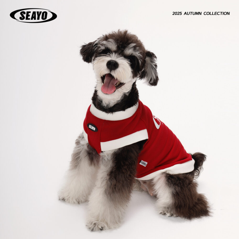 三色卫衣5 SEAYO Red Dog Hoodie
