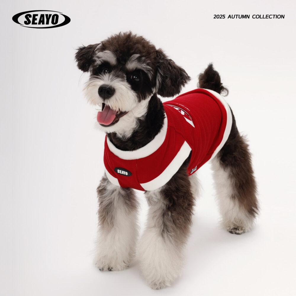 三色卫衣主图4 SEAYO Red Dog Hoodie