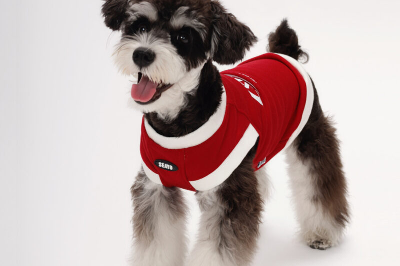 三色卫衣主图4 SEAYO Red Dog Hoodie