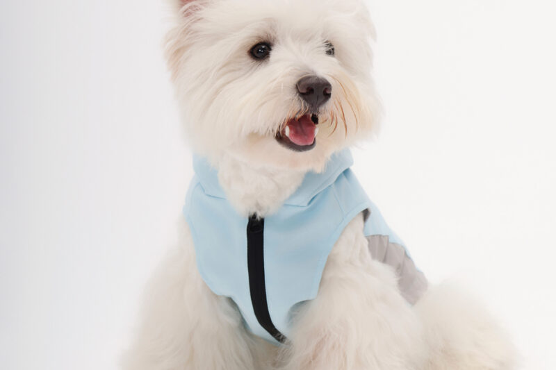 冲锋衣3 SEAYO Pet Outdoor Jacket