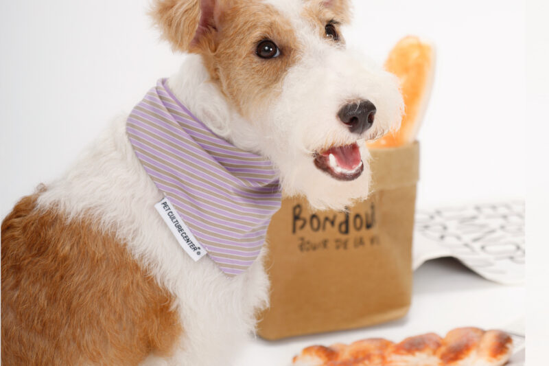 SEAYO Striped Dog Bandana-A