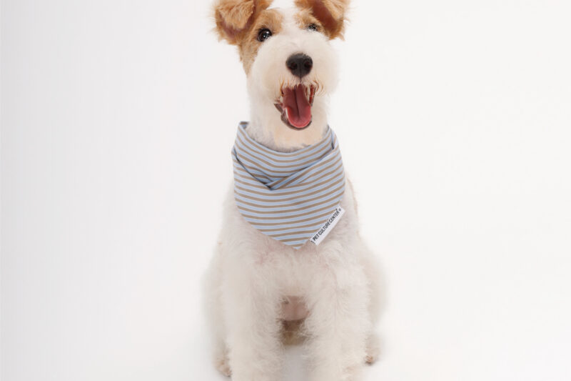 SEAYO Striped Dog Bandana-B