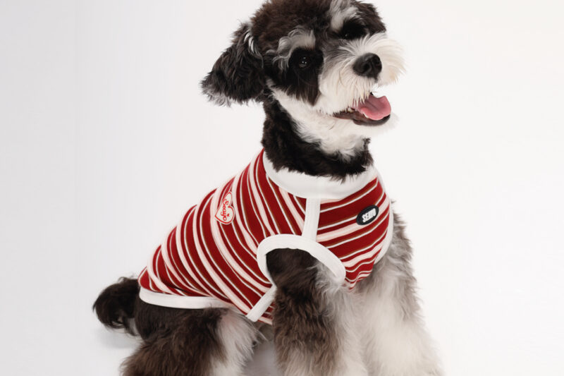SEAYO Red Stripe Vest