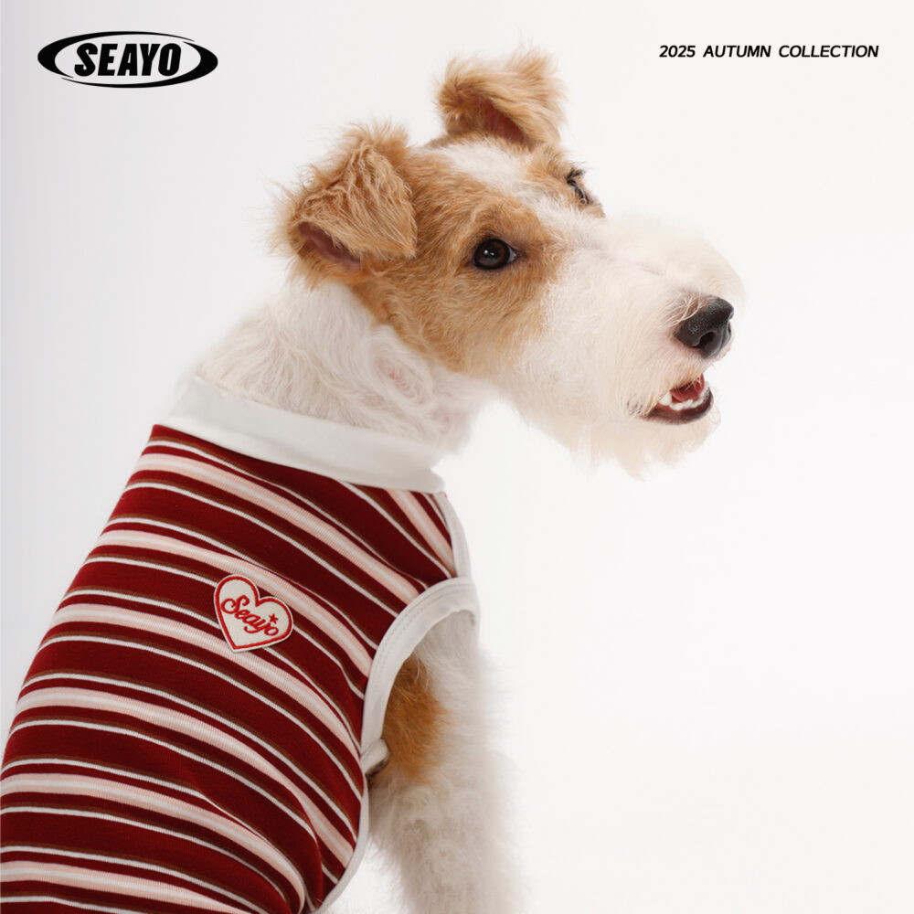 条纹6 SEAYO Red Stripe Vest