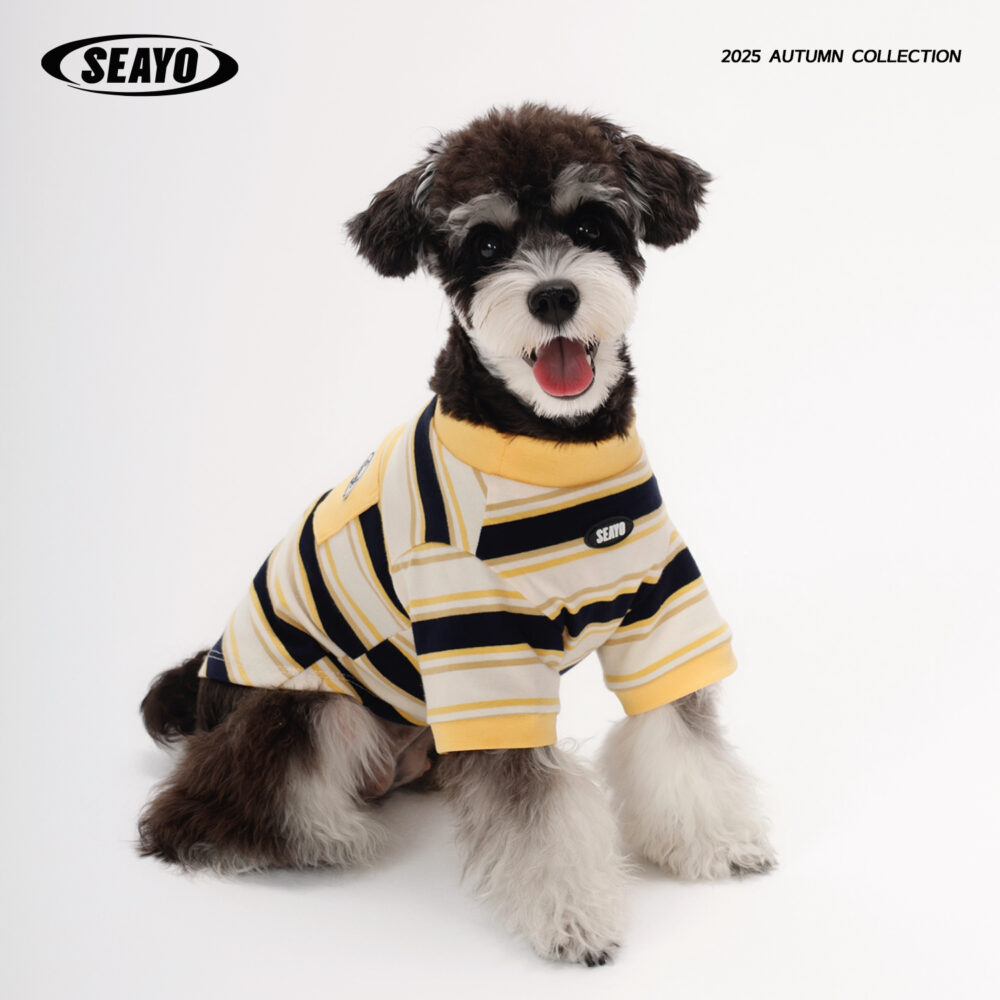 条纹T4 SEAYO Yellow Stripe Vest