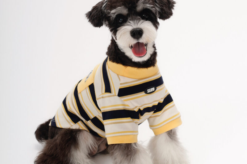 条纹T4 SEAYO Yellow Stripe Vest