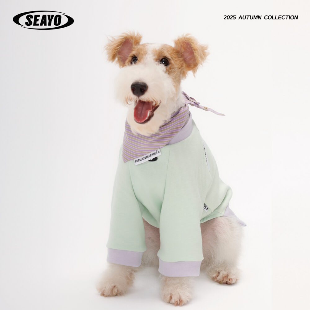 SEAYO Teal Dog Hoodie