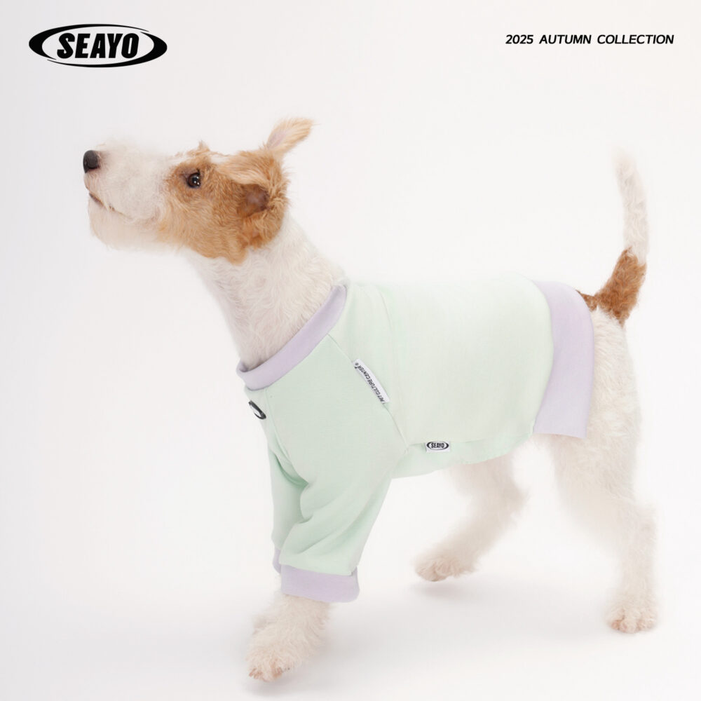 SEAYO Teal Dog Hoodie