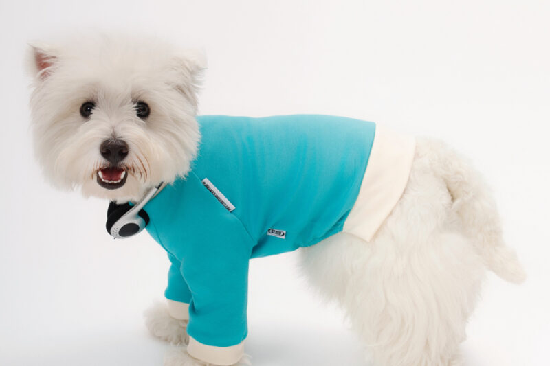 珠地4 SEAYO Blue Dog Hoodie