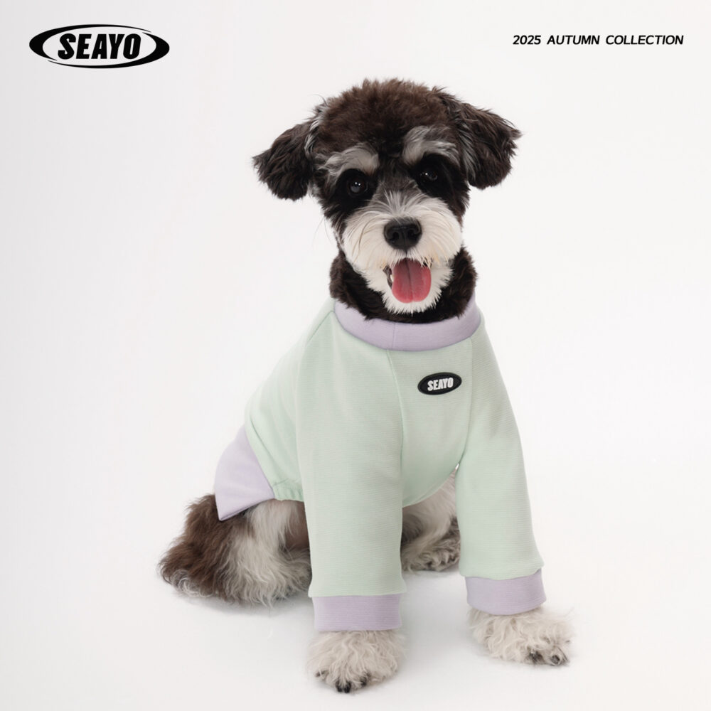 SEAYO Teal Dog Hoodie