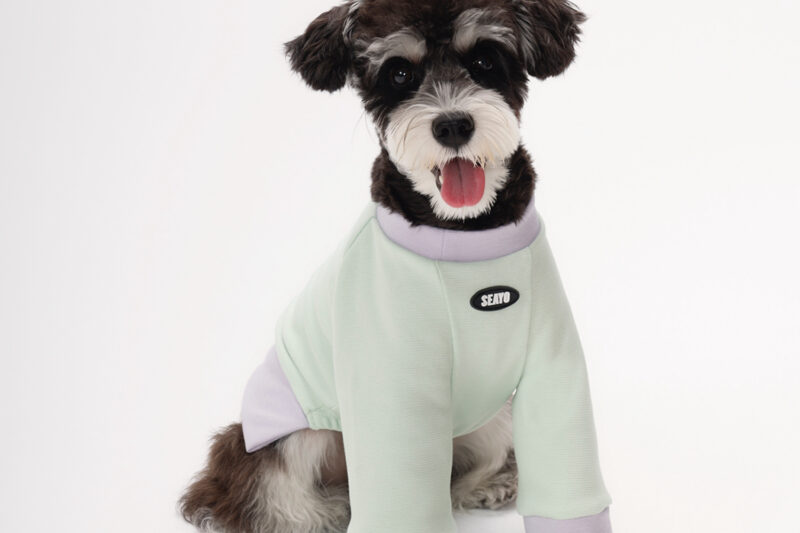 珠地5 SEAYO Teal Dog Hoodie