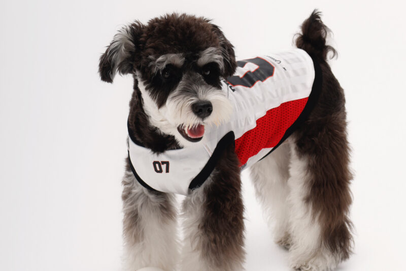 球衣3 SEAYO Sport Dog Vest